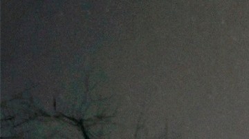 Un manto blanco cubrió a NYC con la tormenta.