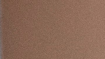 Bernie Sanders Congreso EEUU