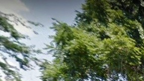 Zona del descubrimiento: Morrell Park Av