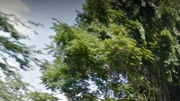 Zona del descubrimiento: Morrell Park Av