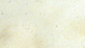 Un poster gigante de Chayanne fue el mejor presente para una mujer de la tercera edad.