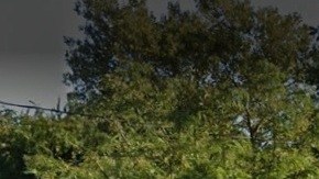 Atendía en 4268 Richmond Ave, Staten Island, NYC