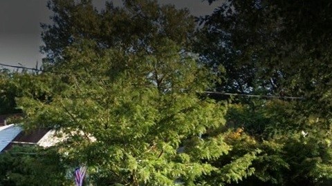 Atendía en 4268 Richmond Ave, Staten Island, NYC