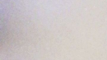 Diego falleció la semana pasada a causa de un paro cardiorrespiratorio.