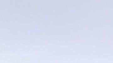 Indígenas latinos residentes en NY se han manifiestado  para exigir protección a sus comunidades. (Foto: Cortesía)