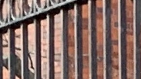 Trabajadores de lavanderías de hospitales como Mateo Canela, exigen mayores protecciones ante aumento de casos de COVID-19