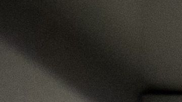 Varias organizaciones asesoras a las indocumentadas en su demanda.