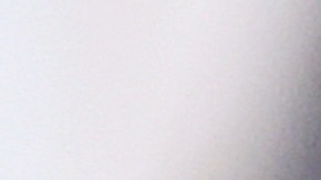 El cuidador de los perros de Lady Gaga la defendió de los insultos por no costearle el tratamiento médico.