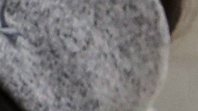 Expertos señalan que hay variedades del español en EE.UU.