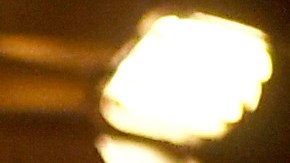 Actrices para adultos