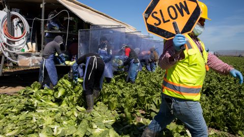 Alrededor del 80% de trabajadores esenciales durante la pandemia son inmigrantes.