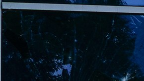 Los hoteles Omni recibieron $77 millones de dólares en fondos del PPP