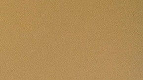 Hay un movimiento que busca que el vicepresidente Mike Pence ayude a cambiar el resultado electoral.