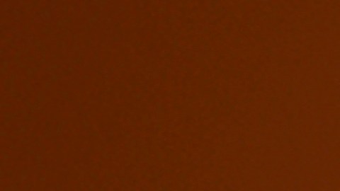 Un eclipse total es la ocasión perfecta para observar la corona solar.