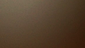 ¿Un segundo cheque de estímulo antes del 31 de diciembre?