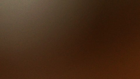 ¿Un segundo cheque de estímulo antes del 31 de diciembre?
