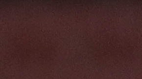 Renato Paiva será quien dirija al actual monarca de la Copa Sudamericana.