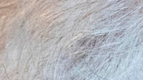 El líder del Senado, Mitch McConnell.