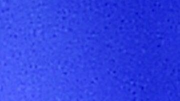 El presidente electo Joe Biden y el saliente Donald Trump