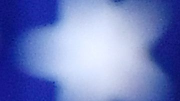 Algunos profetas dijeron que Trump sería el ganador.