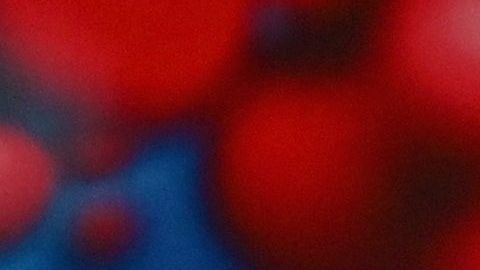 ¿Cuánto dinero podrían ganar Pfizer y Moderna por la venta de vacunas?