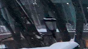 La acumulación fue entretenimiento para muchos.