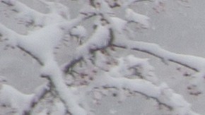 La nevada fue grande en Massachusetts.