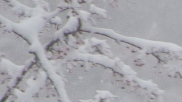 La nevada fue grande en Massachusetts.