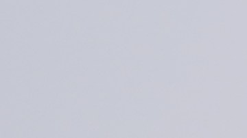 Camiones de FedEx con los primeros cargamentos de la vacuna de Moderna.