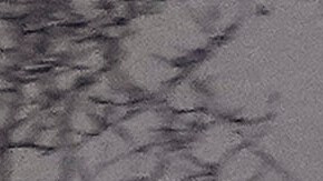 El presidente electo Joe Biden ya tiene asignados agentes del Servicio Secreto.