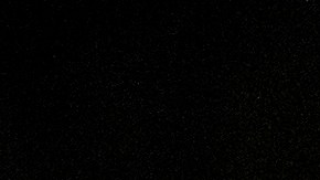 La pareja presidencial.