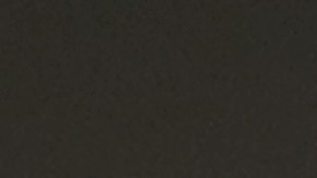 Muere uno de los nuevos cachorros de la Reina Isabel.