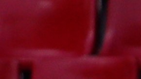 Los futbolistas tuvieron un buen gesto con el jardinero del estadio.