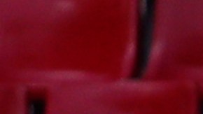 Los futbolistas tuvieron un buen gesto con el jardinero del estadio.