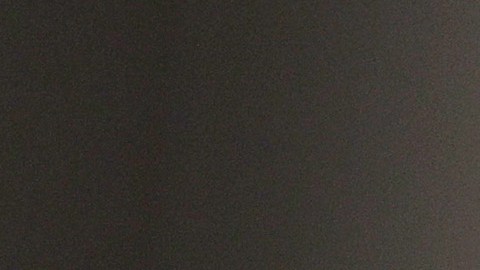 Desde su salto a los humanos hace aproximadamente un año, se han detectado unas dos mutaciones del Sars-CoV 2 cada mes.