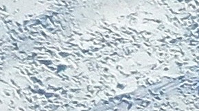 Decenas juegan en la nieve en Merrick, Nueva York.