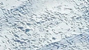 Decenas juegan en la nieve en Merrick, Nueva York.