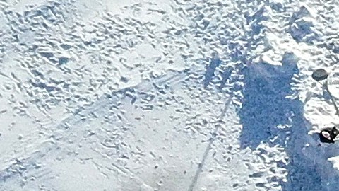 Decenas juegan en la nieve en Merrick, Nueva York.