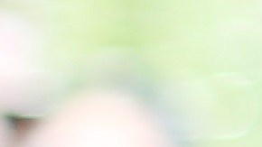 Los datos sobre población latina en EE.UU. son parciales.