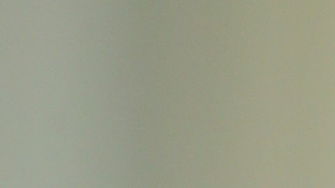Sasha podría cosechar cerca de 10 millones de seguidores en tan solo un año.