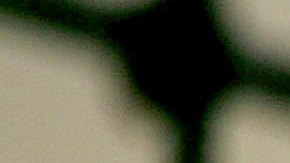 El NYPD indaga la alerta en el Empire State.