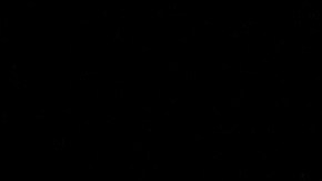 El presidente Trump ya planea competir en 2024 por la Presidencia de EE.UU.