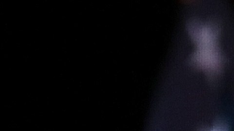 El presidente Trump ya planea competir en 2024 por la Presidencia de EE.UU.