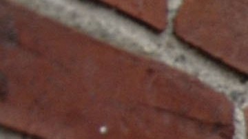 La Universidad de Harvard la admitió de forma anticipada.