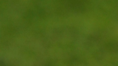 El juez también tendrá que pagar $5,000 dólares de multa.