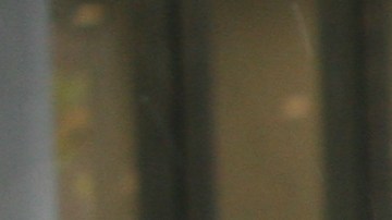 Fernando Mateo, portavoz de NYSFT.