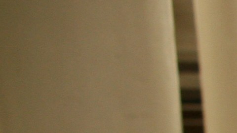 En las campañas multiculturales de la Gran Manzana se empieza a incluir a una comunidad hasta ahora marginada
