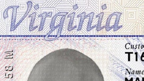 LicenciaVirginia
