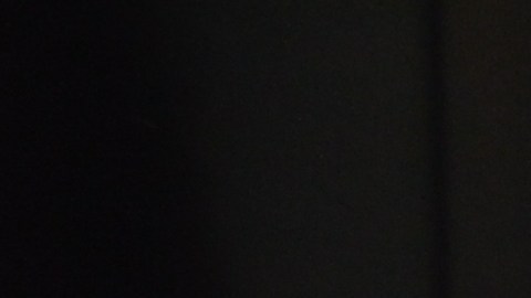 Los trabajadores de atención domiciliaria, la mayoría inmigrantes, durante la protesta contra su propio sindicato, el 1199SEIU.