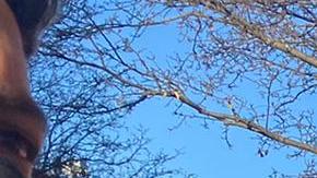 Inquilinos hispanos protestan por las condiciones inseguras y el acoso del propietario de un edificio.